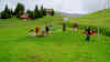 003_38.JPG (329982 Byte)