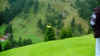 007_34.JPG (278154 Byte)