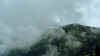 009_32.JPG (216945 Byte)