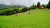 013_28.JPG (316544 Byte)