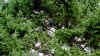 020_21.JPG (488153 Byte)