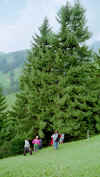021_20.JPG (408045 Byte)