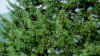 022_19.JPG (401676 Byte)