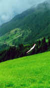 023_18.JPG (339854 Byte)