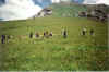 Adelb. 04.jpg (60757 Byte)
