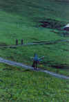 Adelboden5.jpg (63076 Byte)