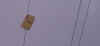FlamencoD.jpg (111184 Byte)