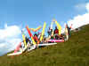 Gruppe01.jpg (56918 Byte)