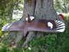 Vogel.jpg (127406 Byte)